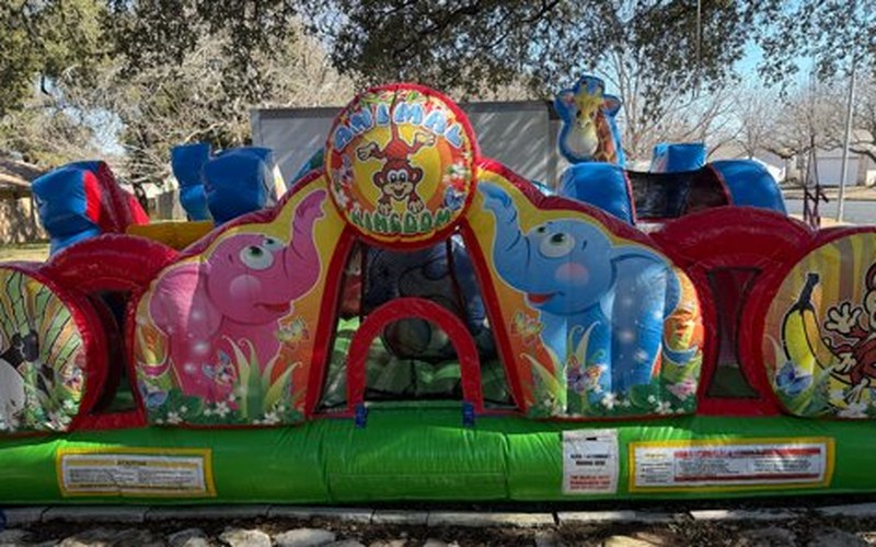 Animal Kingdom inflatable rental Austin TX